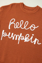 Load image into Gallery viewer, HELLO PUMPKIN SWEATER~ RTS
